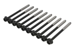 REINZ 14-32298-01 Cylinder head bolt set kaina