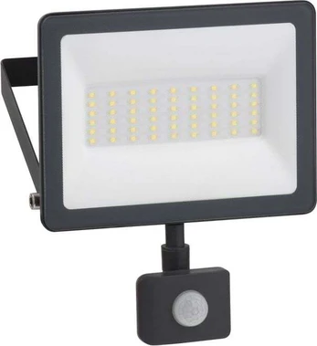 LED prožektorius Mureva 30W su judesio davikliu