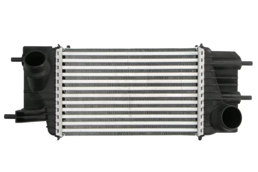 tarpinis suslėgto oro aušintuvas, kompresorius THERMOTEC DA1013TT