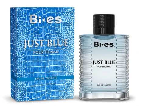Tualetinis vanduo vyrams Bi-es Just Blue EDT 100ml