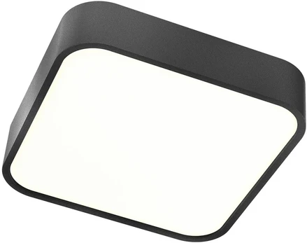 30W LED paviršinis šviestuvas SCREEN IP, juodas, 3000K, IP44, 01-2499