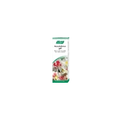 Vogel Aesculaforce gelis 120ml kaina