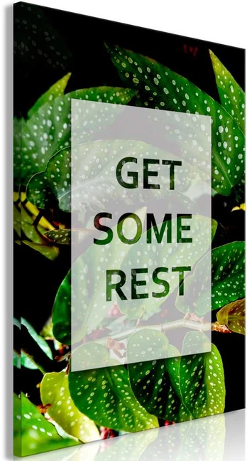 Artgeist Paveikslas - Get Some Rest (1 Part) Vertical