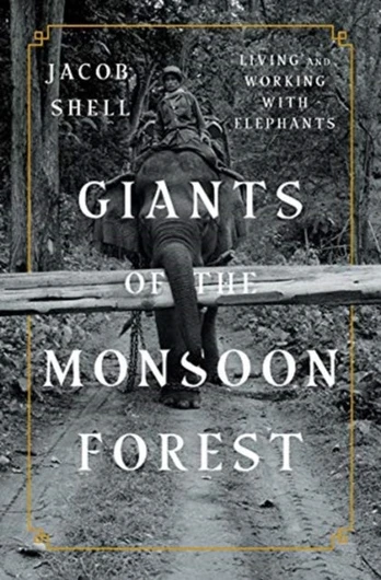 Giants of the Monsoon Forest