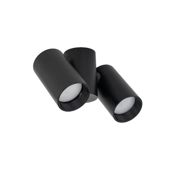 AMIS BLACK DOWNLIGHT 2XGU10