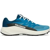 Bėgimo batai Salomon Alphaglide L48000400 Mėlyna