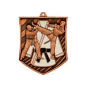 Medalis bronzos KARATE
