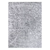 Kilimas vidaus Hakano Trex Tree 2, pilkas, 170 cm x 120 cm kaina