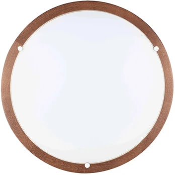 Šviestuvas plafonas Spot-Light Frida, 18 W, LED
