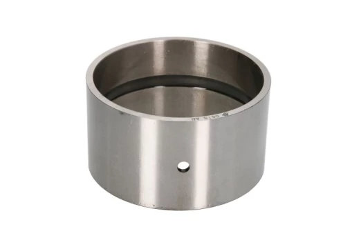 Pavarų dėžės guolis 60532067