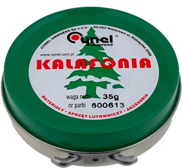 EGA Cinamono ledai 45 g