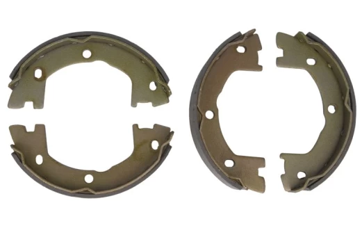 DELPHI LS2115 Brake shoe set