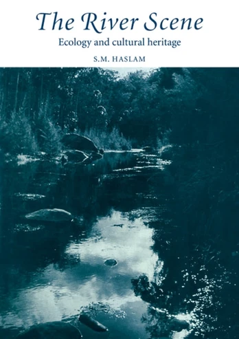 River Scene