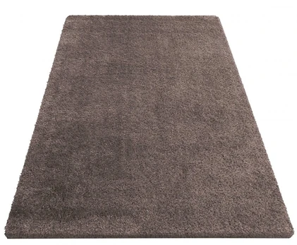 Kilimas vidaus Anew Kamel 0064, rudas, 290 cm x 200 cm