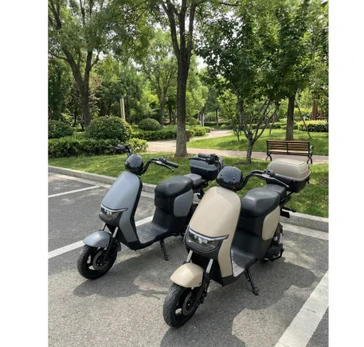 Elektrinis motoroleris RIDE-E EVIO (EEC) 1000W