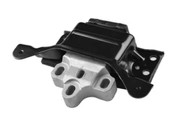 Variklio montavimas TEDGUM TED97485