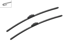 Valytuvai BOSCH 3397009777