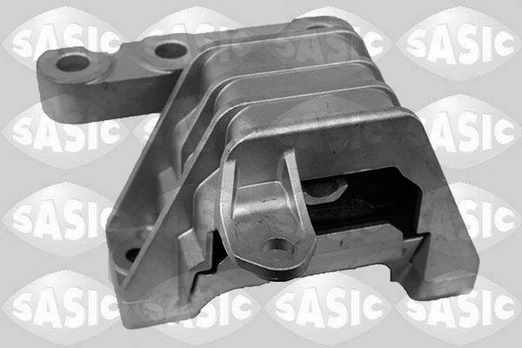 Variklio montavimas SASIC 2706308