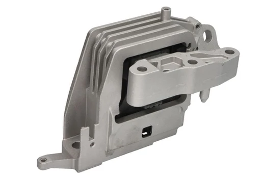 Variklio montavimas TEDGUM TED76374