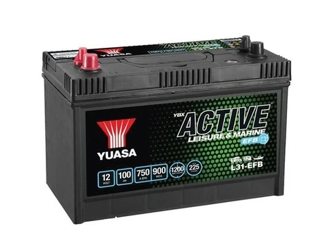 Starterio akumuliatorius YUASA L31-EFB
