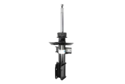 BILSTEIN 22-197665 Shock absorber kaina