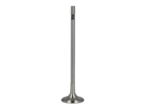 FRECCIA 6525/BMCR Exhaust valve