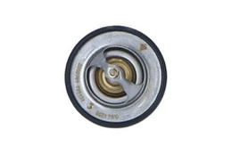 Termostatas, aušinimo skystis NRF 725131