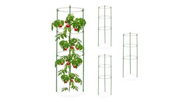 Augalo Atrama 60 Cm, 4 Vnt., Žalia