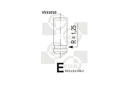 Įvado vožtuvas BGA V531010