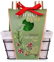 Accentra Gift set in a wire basket Winter Spa kaina