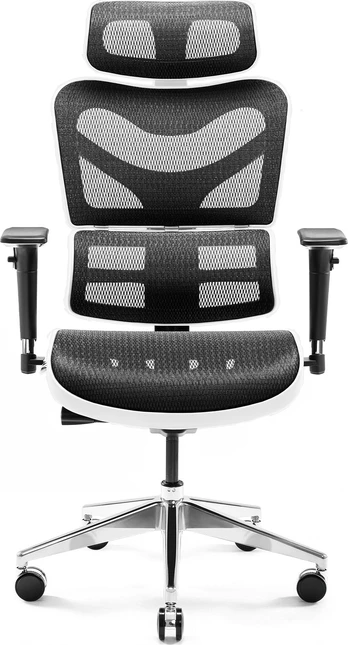 Ergonomic Chair DIABLO V-COMMANDER: white-black