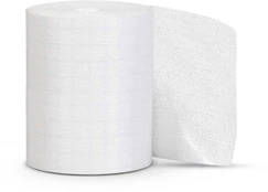 Sutvirtinantis teipas SELECT FIXING TAPE PROFCARE 10 cm x 10 m kaina