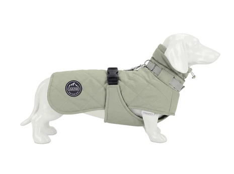 Striukė šunims Carinio Alpine Thermo Mint XS
