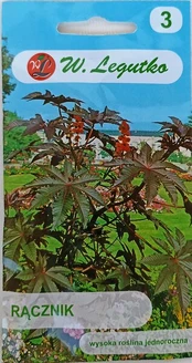 Paprastasis ricinmedis