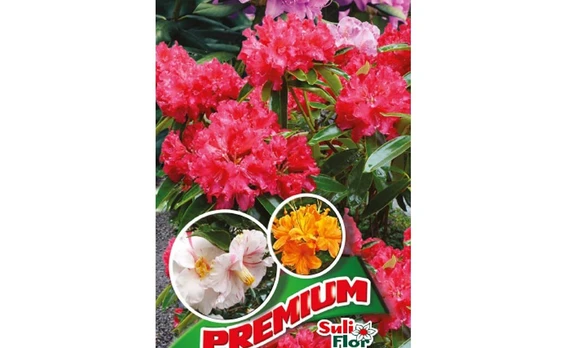Durpių substratas rododendrams SULIFLOR Suliflor, 70 l