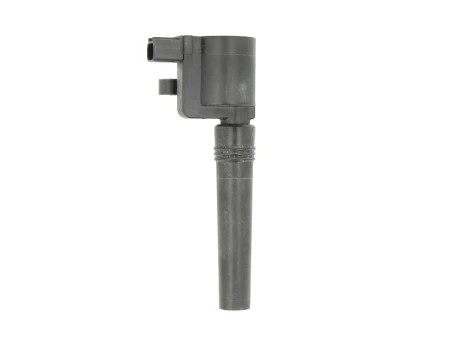 Ritė, uždegimas NGK 48144