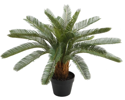 Dirbtinis augalas vazone Home4you, žalia, 70 cm