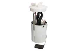 DELPHI FG2050-12B1 Electric fuel pump kaina