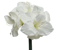 Dirbtinė gėlė AMARYLLIS, baltos sp., 24 x 60 cm, 1 vnt kaina