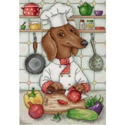 Cook SNV-676 - Siuvinėjimo rinkinys