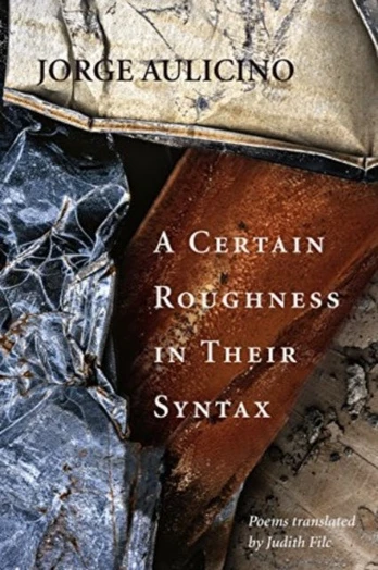 Certain Roughness in Their Syntax