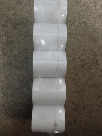 Terminis kasos ritinys 49x25 10vnt.
