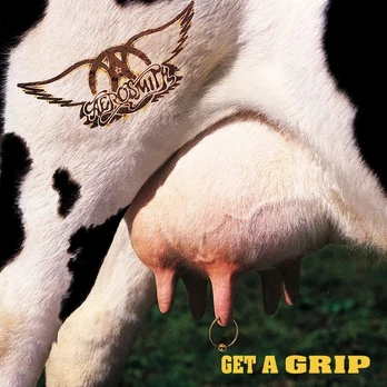 Vinilinė plokštelė Get a Grip (2 Lp) [vinyl Lp]