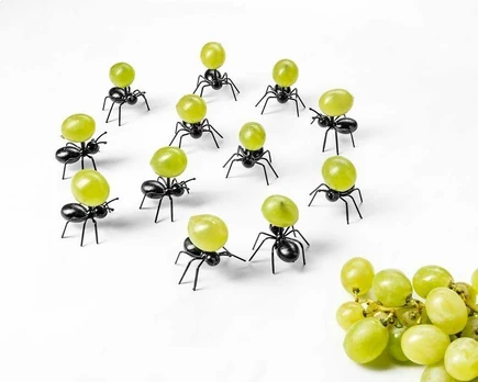 ANT vakarėlio favoritai