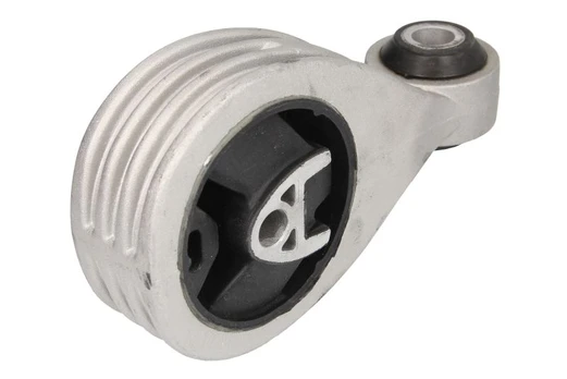 Variklio montavimas SASIC 2704034