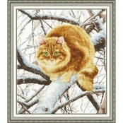 Red-headed Cat S/K010