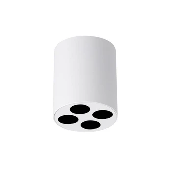 Ceiling lamp ZOE white LED gaismeklis