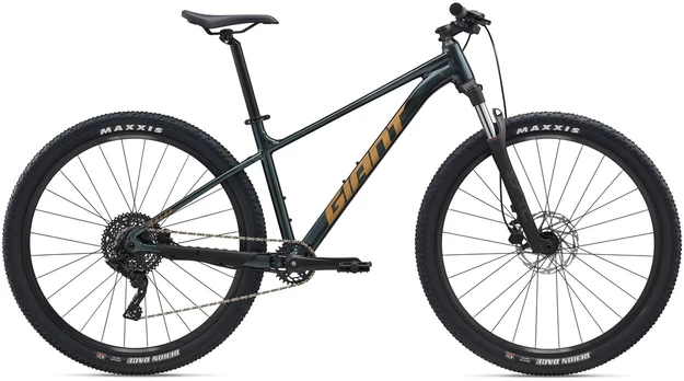 Kalnų dviratis Giant Talon 29 2 Asphalt Žalias