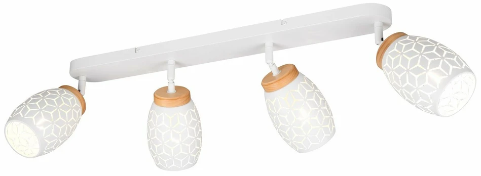 Šviestuvas lubų Trio Bidar R81574031, 40 W, E14
