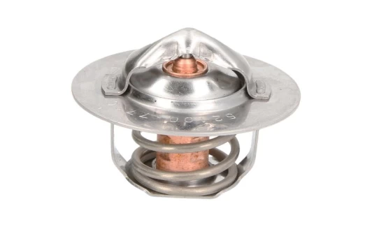 termostatas, aušinimo skystis THERMOTEC D2DE002TT